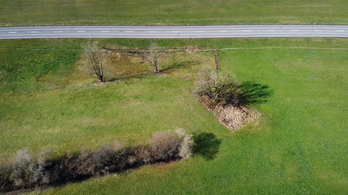 Ein Absperrband entlang einer Strasse führt durch ein Feuchtgebiet. 